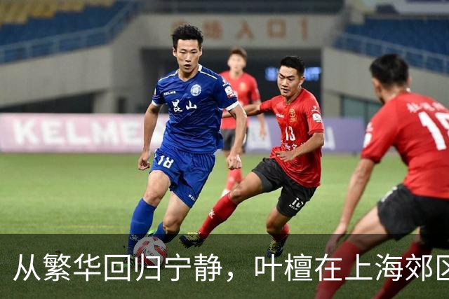 从繁华回归宁静，叶檀在上海郊区找到了内心的安宁
