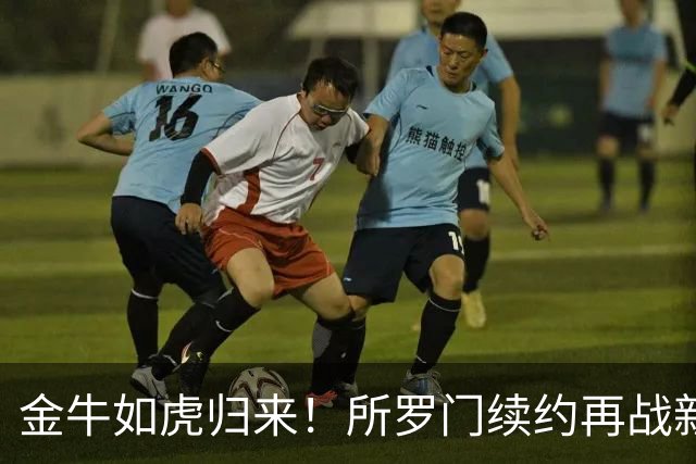 金牛如虎归来！所罗门续约再战新赛季